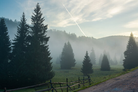 rural valley on foggy sunrise. wonderful nature scenery of forested apuseni mountains, romania. wonderful weather with glowing clouds on the sky