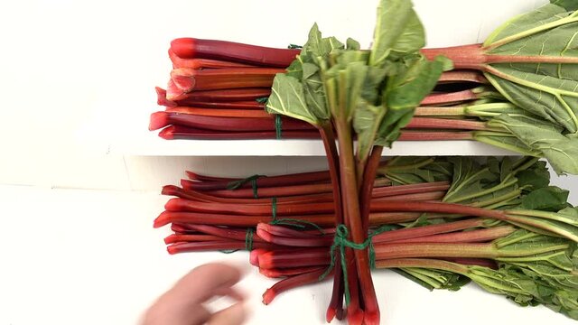 Person lays out bundles of ripe red rhubarb in a shop window