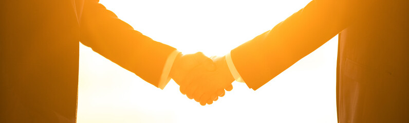 The two businessmen handshake on the bright sun background