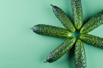 Set of fresh whole cucumbers on a green background, food pattern. Garden cucumber wallpaper backdrop design