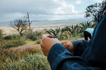 person sitting on the grass