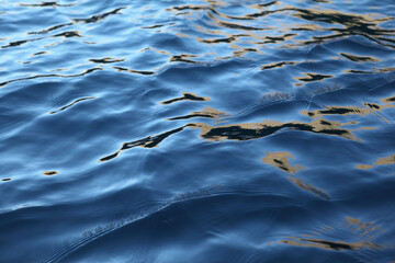 oil slick on the water