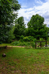 Garden Setting-1098