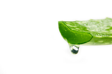 Aloe vera gel dripping from aloe vera slice.Organic Skin Care concept. Sliced Aloe Vera natural organic renewal cosmetics