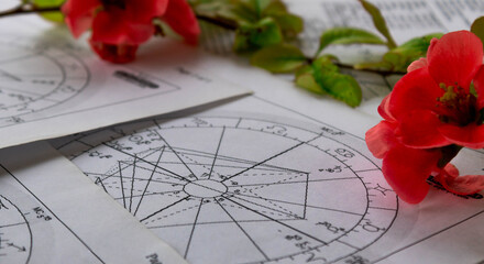 Printed astrology charts with red spring flowers, springtime