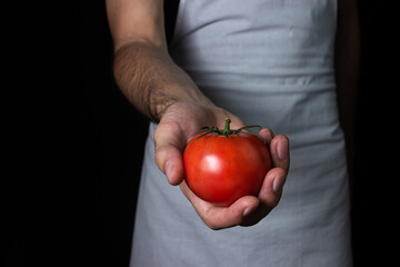 The cook holds a tomato in his hand. Vegetarian cuisine. Fresh vegetable