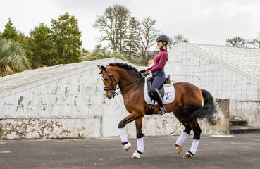 Dressage rider with her amazing Lusitano horse, Azores islands.