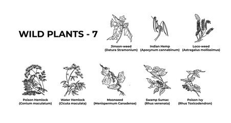 Hand-drawn design botanical elements set.