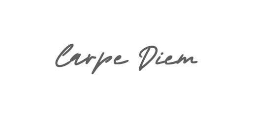 Carpe Diem lettering text, hand drawn typographic style phrase. Motivational quote handwritten design.
