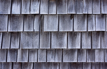 Cedar shingles which have shrunk and faded gray with age.