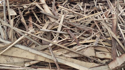 Biofuel chips. A pile of wood chips close-up. Background and texture