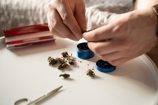 Man chopping marijuana buds before the rolling a hand rolled cigarette at the table