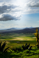 sunset over the field