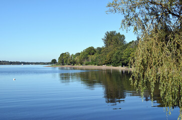Blue Sky & Calm Waters of Lake with Wooded Shoreline