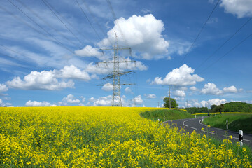 Freileitung mit Strommasten auf blühendem Rapsfeld an Landstraße - Stockfoto