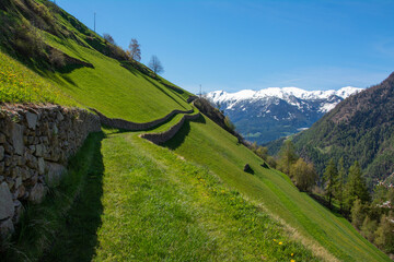 Meraner H&ouml;henweg