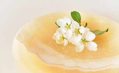 A beautiful sprig of apple tree with white flowers on an onyx plate.