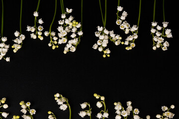 A large bouquet of forest lily of the valley against a dark background, place for text, bright color, high contrast.