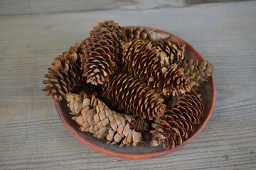 Plate with bumps view from top