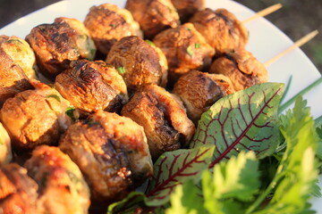 shish kebab on the grill