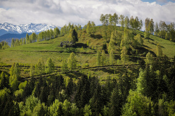 Rolling hills with villages and forests in Transylvania, Romania, with the Bucegi mountains in the background, at sunset.