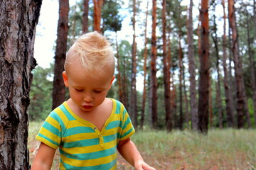 Little cute blond boy close-up in the woods against the background of trees, a walk in the woods, forest nature.