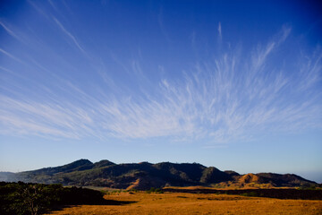 nubes cirro o cirrus en la pradera