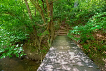 A bridge on the Main North Trail at the Whitewater Center in North Carolina