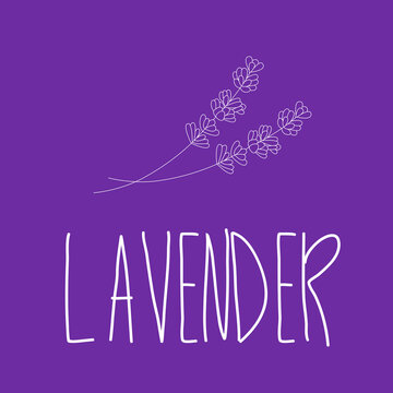 Lavender flower silhouette with text on lilac background