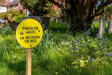 Pardon the weeds, we are feeding the bees sign placed in amongst wild flowers in a church yard - obrazy, fototapety, plakaty