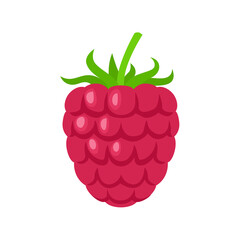 Raspberry isolated on white. Vector flat icon. Simple cartoon illustration of fresh red berry.