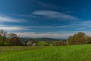 Fototapeta premium Meadows and trees near Homole village in spring sunny fresh morning