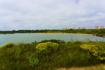 Estanque de Pujol, La Dehesa del Saler, Albufera de Valencia