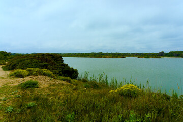Estanque de Pujol, La Dehesa del Saler, Albufera de Valencia