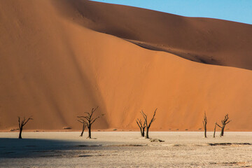 famous dead trees of dead vlei in front of red dunes