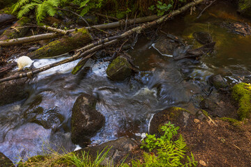 Beautiful view of stream on rocky landscape. Beautiful nature landscape backgrounds. Sweden.