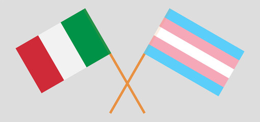 Fototapeta na wymiar Crossed flags of Italy and transgender pride. Official colors. Correct proportion