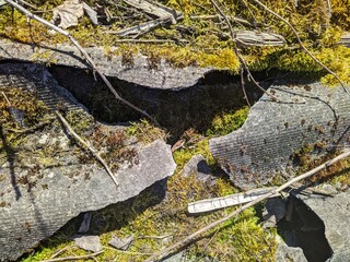 broken sheets of old slate with moss