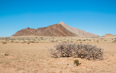 Typical Namibia landscape during solo travel 