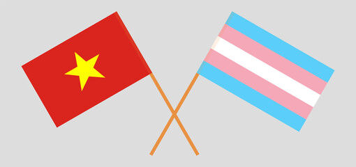 Crossed flags of Vietnam and transgender pride. Official colors. Correct proportion