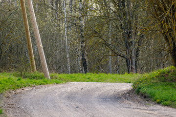 Naklejka premium narrow countryside forest road with gravel surface
