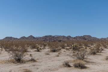 Scenic panoramic Joshua Tree National Park vista, Southern California