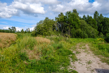 narrow countryside forest road with gravel surface