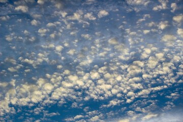 Skyscape with alto cumulus clouds at dusk