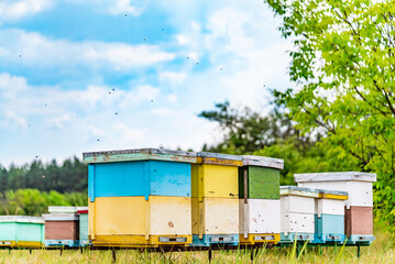 Fototapeta na wymiar Beehives on the beautiful landscapes. Bees flying around beehives.
