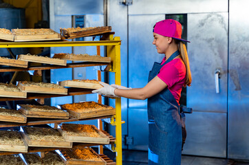 Young bakery girl working at factory. Big basket of baguette on factory.