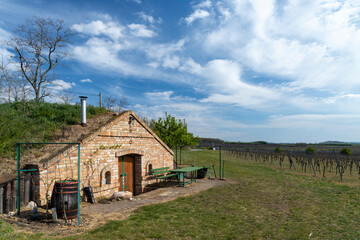 wine cellar, Palava region, South Moravia, Czech Republic