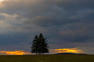 Fototapeta na wymiar Landscape at sunset in Slavkovsky les near Horni Slavkov, Western Bohemia, Czech Republic