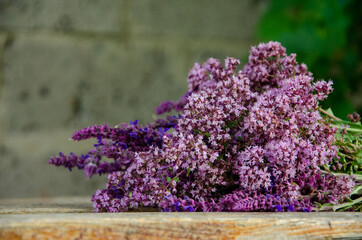 Spring flowers. Lilac flowers on wooden background