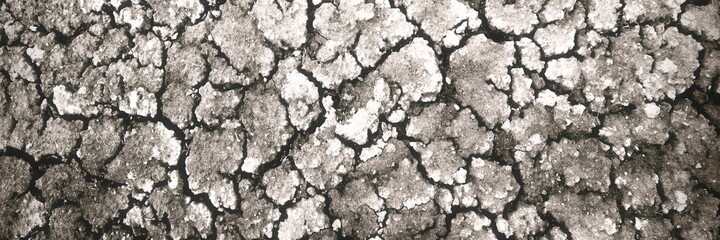 Dried Cracked Wide Texture Background. Dry Earth .Soil Ground Grunge Abstract Texture. Close up Of Crack Soil Top View Web Banner. Cracked Earth Soil Black Arid Background